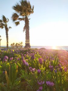 Paphos Lighthouse Beach.jpeg