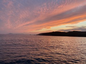 IMG_2865.jpg