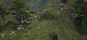 IMG_7076.jpeg