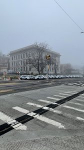 IMG_0288 — крупный размер.jpeg