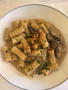 IMG_7583.jpeg