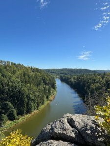IMG_1562.jpeg