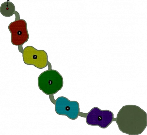 Seed of Infinity.png