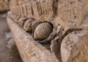 antique-ruins-at-the-archeological-site-baalbek-hermel-governorate-baalbek-lebanon 2.jpg