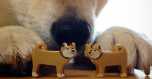 IMG_8917.jpeg