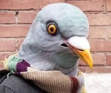 RatChicken