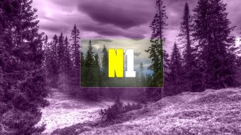 n1coll
